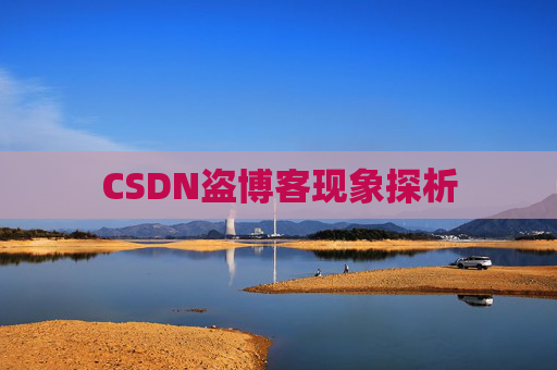 CSDN盗博客现象探析 CSDN盗博客现象探析